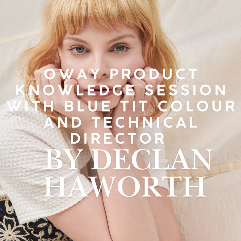 OWay Product Knowledge Session With Blue Tit Colour and Technical Director Declan Haworth