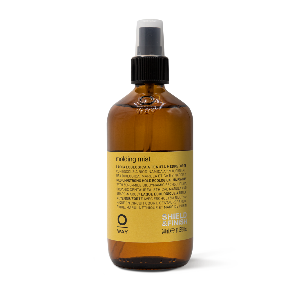 Molding Mist 240 ml